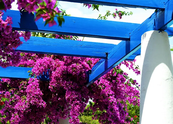 Szálloda Su - Bodrum
