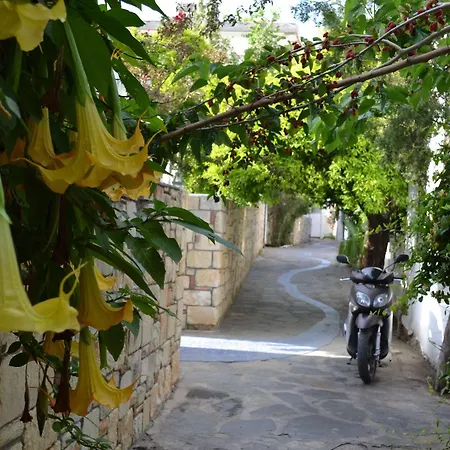 Su - Bodrum